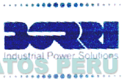BORRI INDUSTRIAL POWER SOLUTIONS