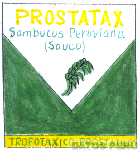 PROSTATAX SAMBUCUS PERUVIANA (SAUCO)