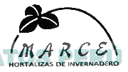MARCE HORTALIZAS DE INVERNADERO