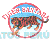 TIGER SANTANA