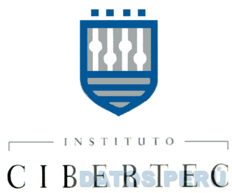 INSTITUTO CIBERTEC