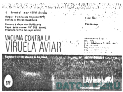 VIRUELA AVIAR - LAVERMAN