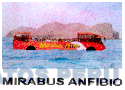 MIRABUS ANFIBIO