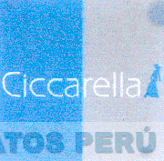 CICCARELLA