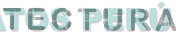 TECTURA
