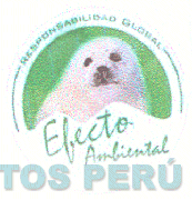 EFECTO AMBIENTAL RESPONSABILIDAD GLOBAL