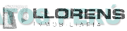 LLORENS INMOBILIARIA