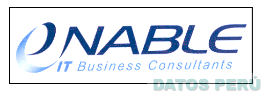 ENABLE IT BUSINESS CONSULTANTS