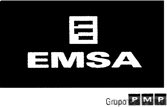 E EMSA GRUPO PMP