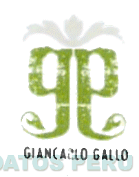 GG GIANCARLO GALLO
