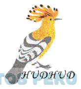 HUDHUD