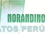 NORANDINO