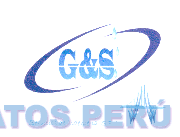 G&S SERVICIOS DE INGENIERIA S.R.L.