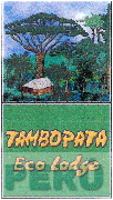 TAMBOPATA ECO LODGE