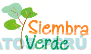 SIEMBRA VERDE
