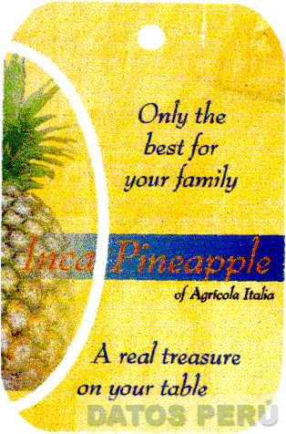 INCA PINEAPPLE OF AGRICOLA ITALIA