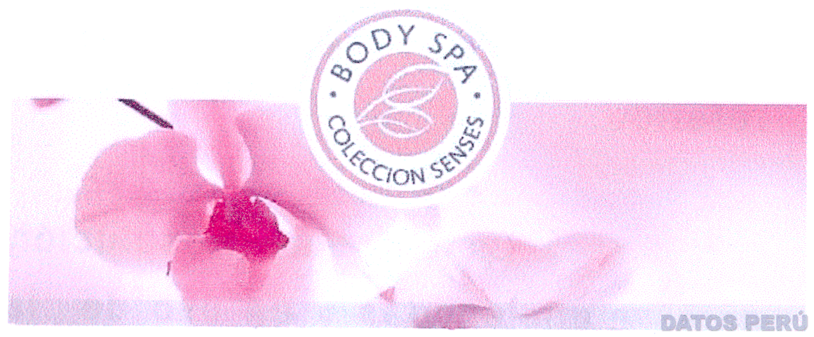 BODY SPA COLECCION SENSES