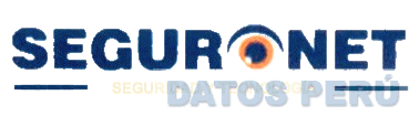 SEGURONET SEGURIDAD Y TECNOLOGÍA