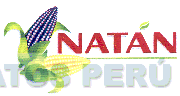 NATÁN