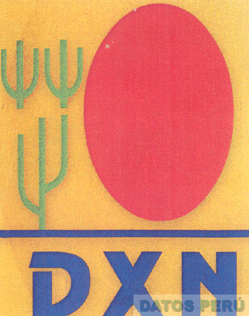 DXN