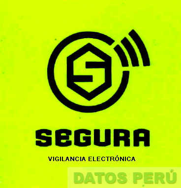 S SEGURA VIGILANCIA ELECTRONICA
