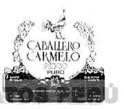 CABALLERO CARMELO