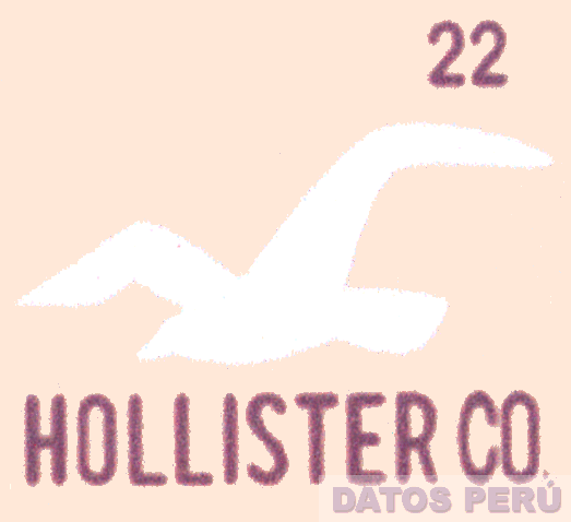 HOLLISTER CO. 22