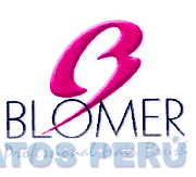 B BLOMER PROFESSIONAL HAIR BRUSH