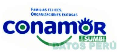 CONAMOR ONG SUMBI FAMILIAS FELICES, ORGANIZACIONES EXITOSAS