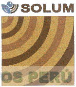 SOLUM