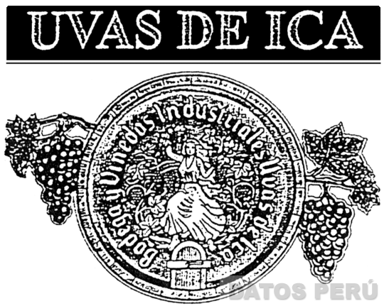 UVAS DE ICA BODEGA Y VIÑEDOS INDUSTRIALES UVAS DE ICA