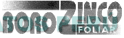 BORO ZINCO FOLIAR