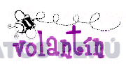 VOLANTIN