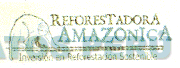 REFORESTADORA AMAZONICA INVERSION EN REFORESTACION SOSTENIBLE