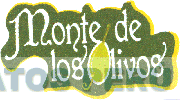MONTE DE LOS OLIVOS