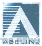 A ABELIN S.A.