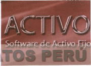 ACTIVO SOFTWARE DE ACTIVO FIJO