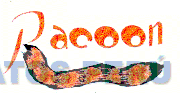 RACOON