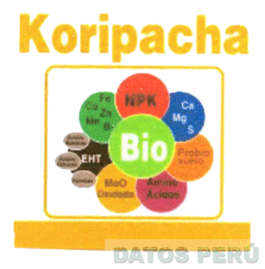 KORIPACHA