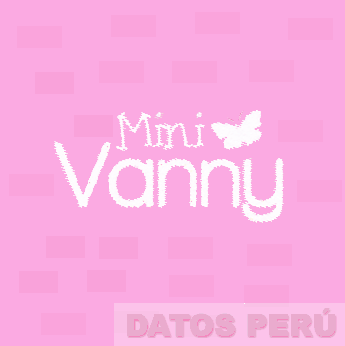 MINI VANNY