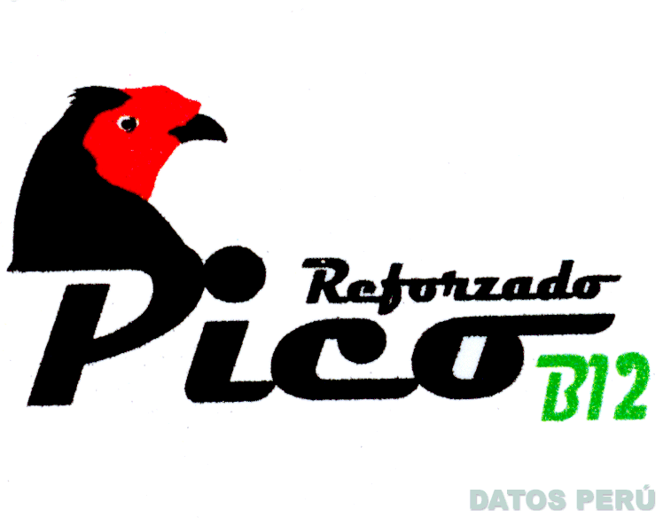 REFORZADO PICO B12