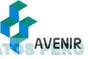 AVENIR GRUPO INMOBILIARIO