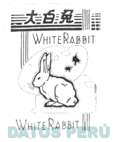 WHITE RABBIT