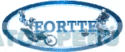 FORTTE