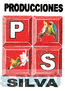 PRODUCCIONES SILVA P S