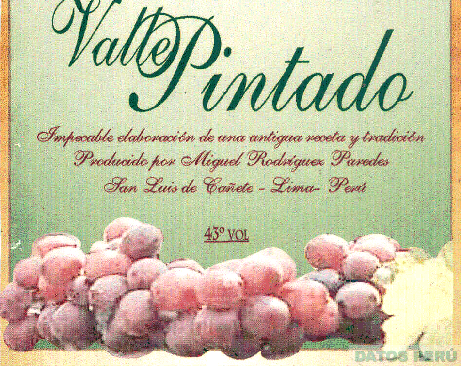 VALLE PINTADO MIGUEL RODRIGUEZ PAREDES