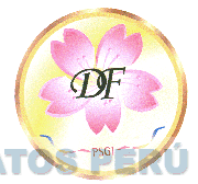 DF PSGI