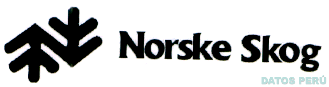 NORSKE SKOG