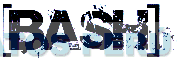 BASH