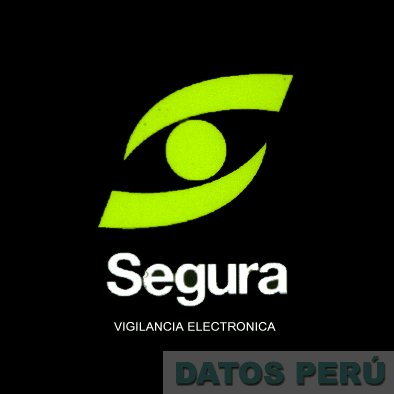 SEGURA VIGILANCIA ELECTRÓNICA